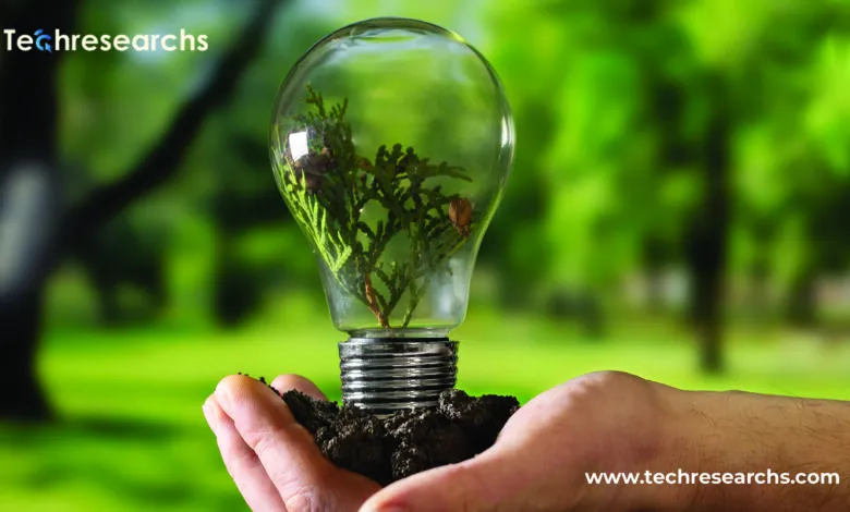 Sustainability in NFTs: Meta's Strategy for Green Energy