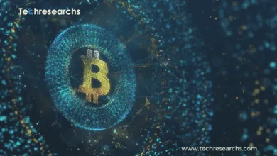 Crypto-as-a-Service for e-commerce with stablecoin payments