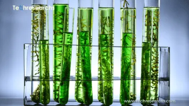 Sustainable biomanufacturing using industrial biotechnology