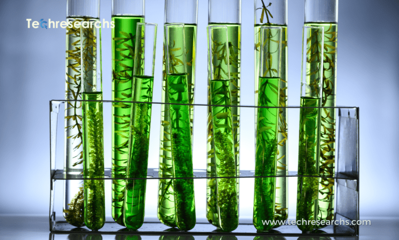 A picture showing test tube and industrial biotech for sustainable production