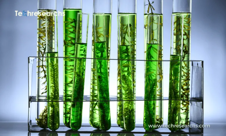 Sustainable biomanufacturing using industrial biotechnology