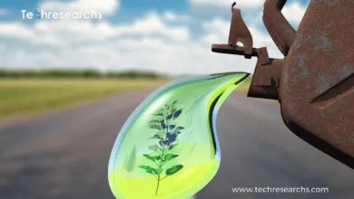 Biofuels as a sustainable renewable energy source