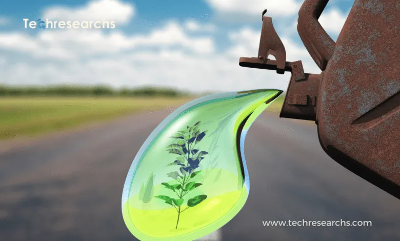 Biofuels as a sustainable renewable energy source
