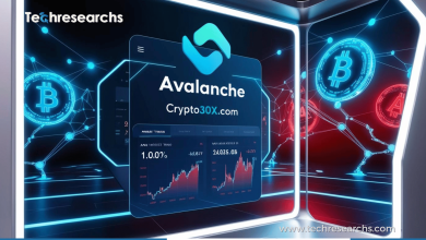 Avalanche Investing with Crypto30x