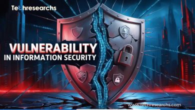 Vulnerability In Information Security