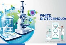 White Biotechnology