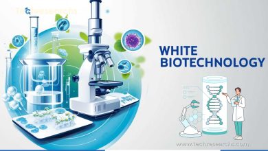 White Biotechnology