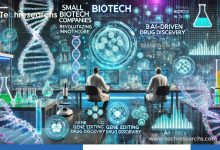 Small Biotech Companies