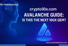 crypto30x.com Avalanche