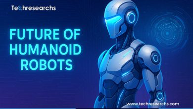 Future of Humanoid Robots