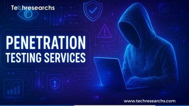 Penetration Testing Services