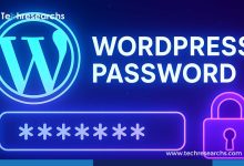 Reset a WordPress Password Without Email Access