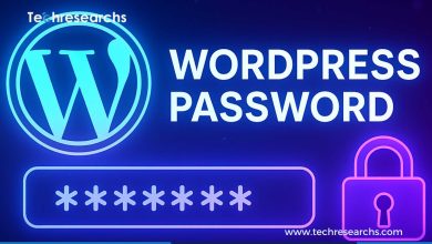 Reset a WordPress Password Without Email Access