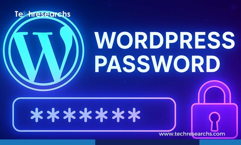 Reset a WordPress Password Without Email Access