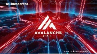 Avalanche Chain